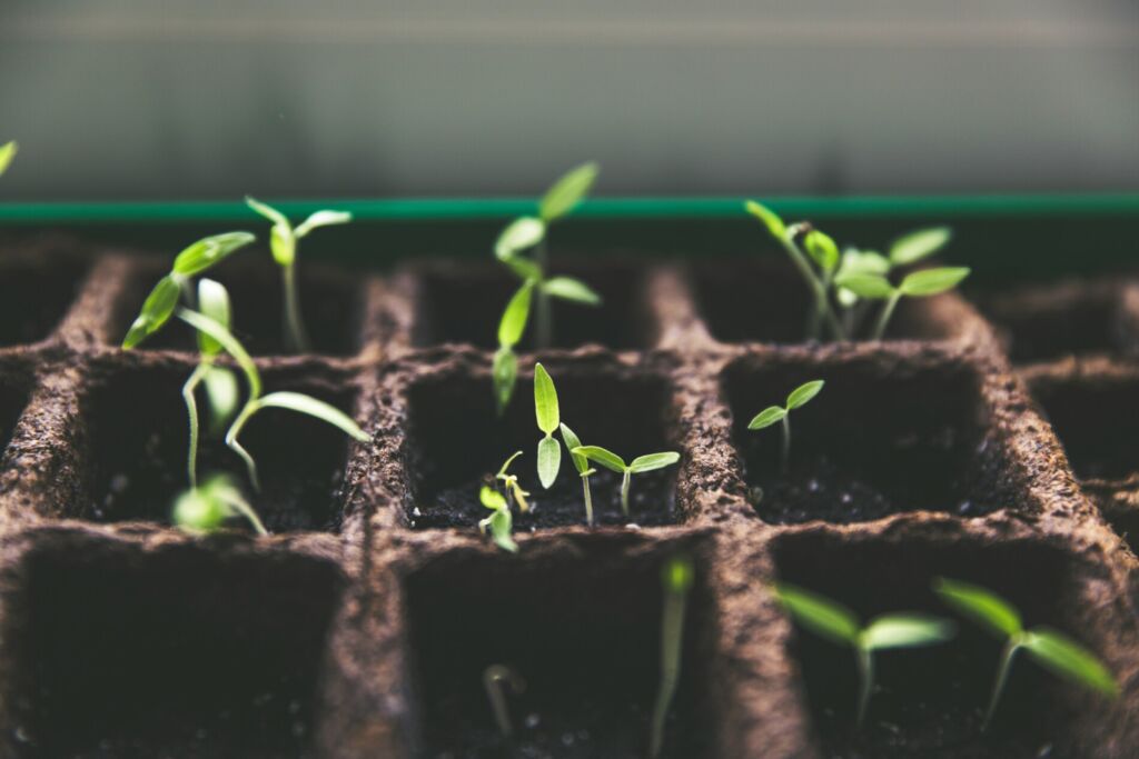 εργασίες κήπου Μαρτίου - Απριλίου